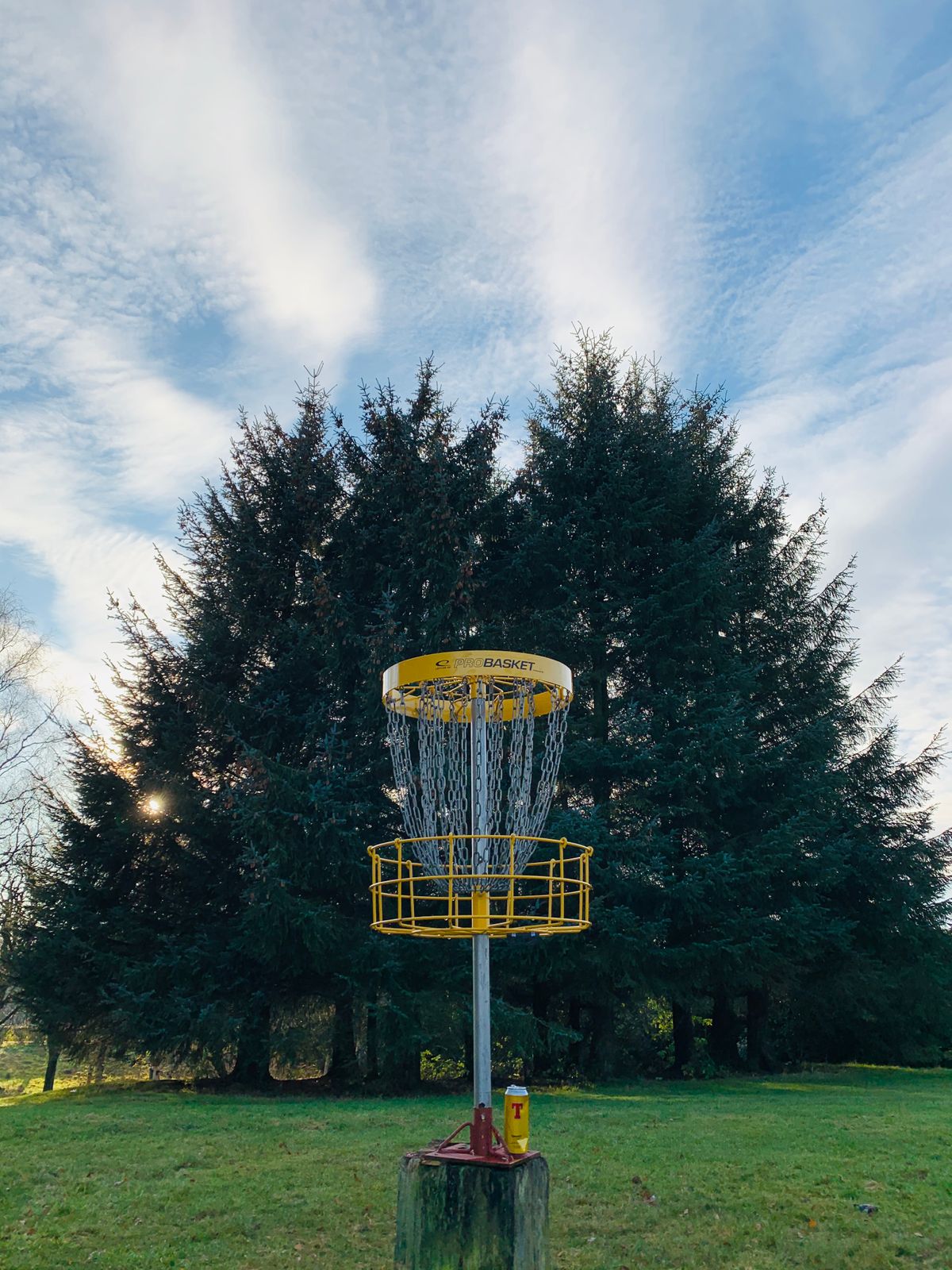 Basket 9
