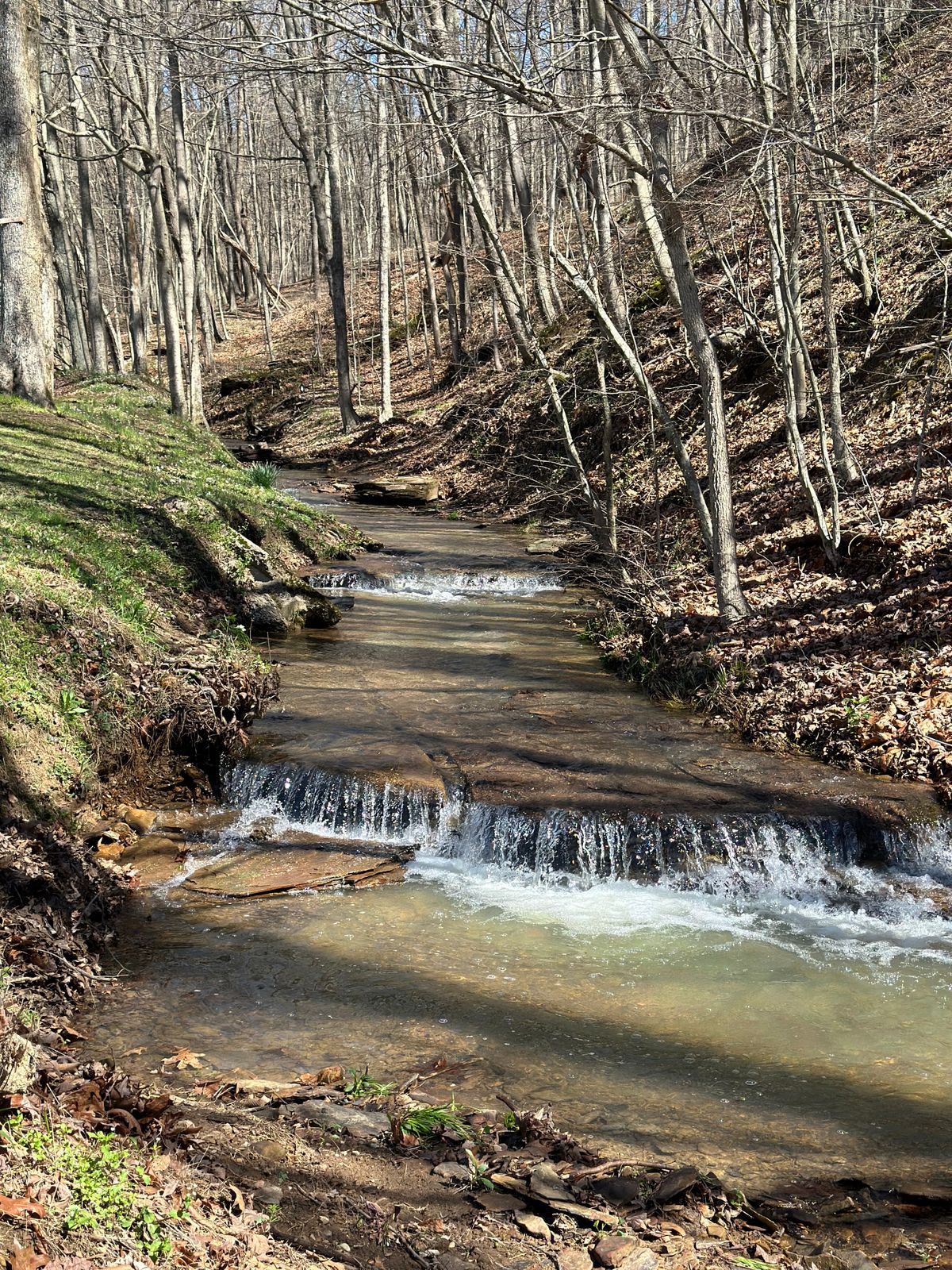 Hole 1 creek