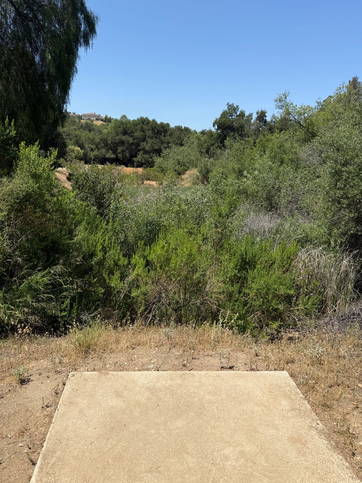 Hole 14 tee