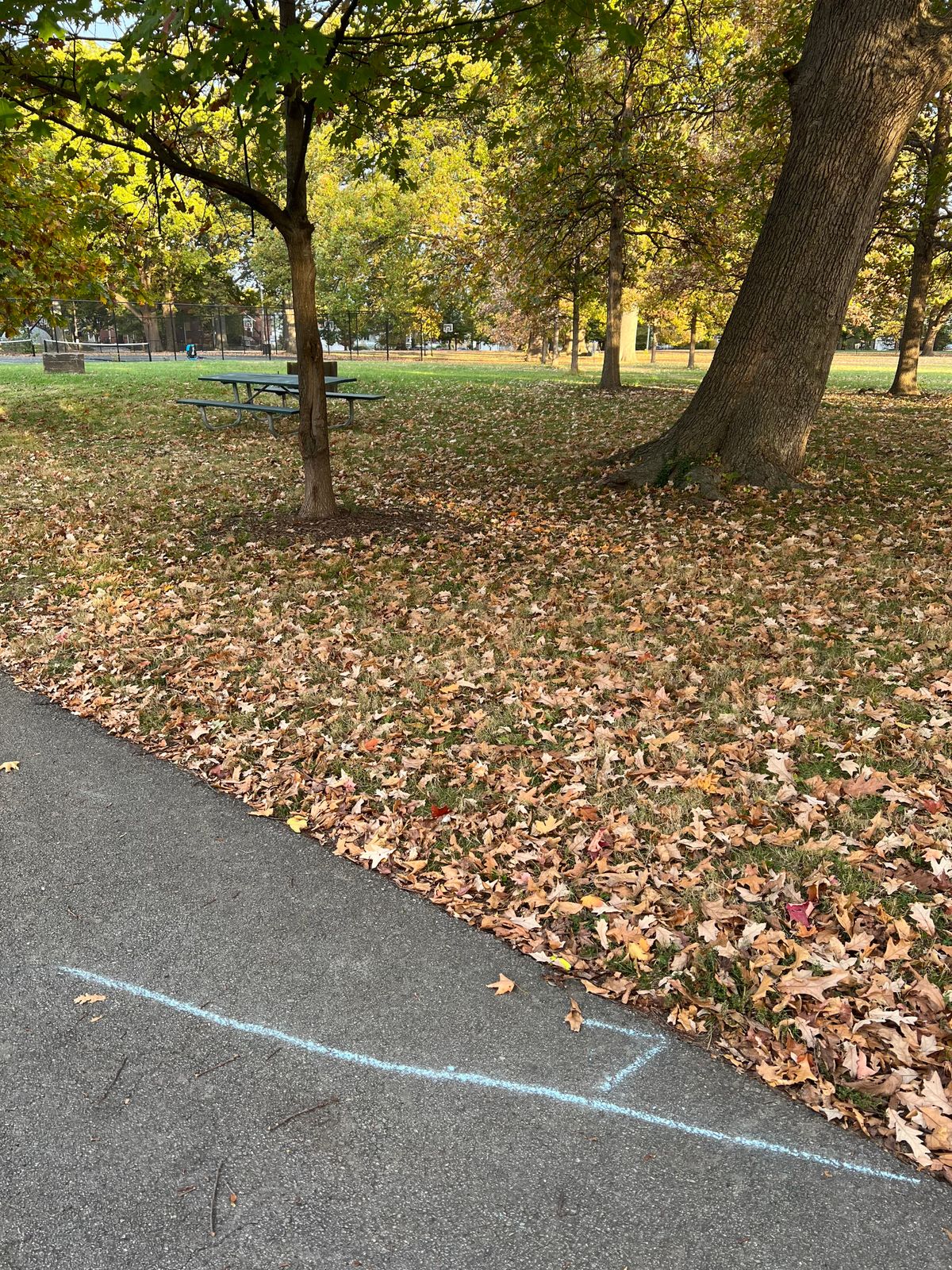 Hole 7 RHFH hyzer