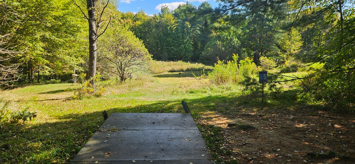 Hole 5