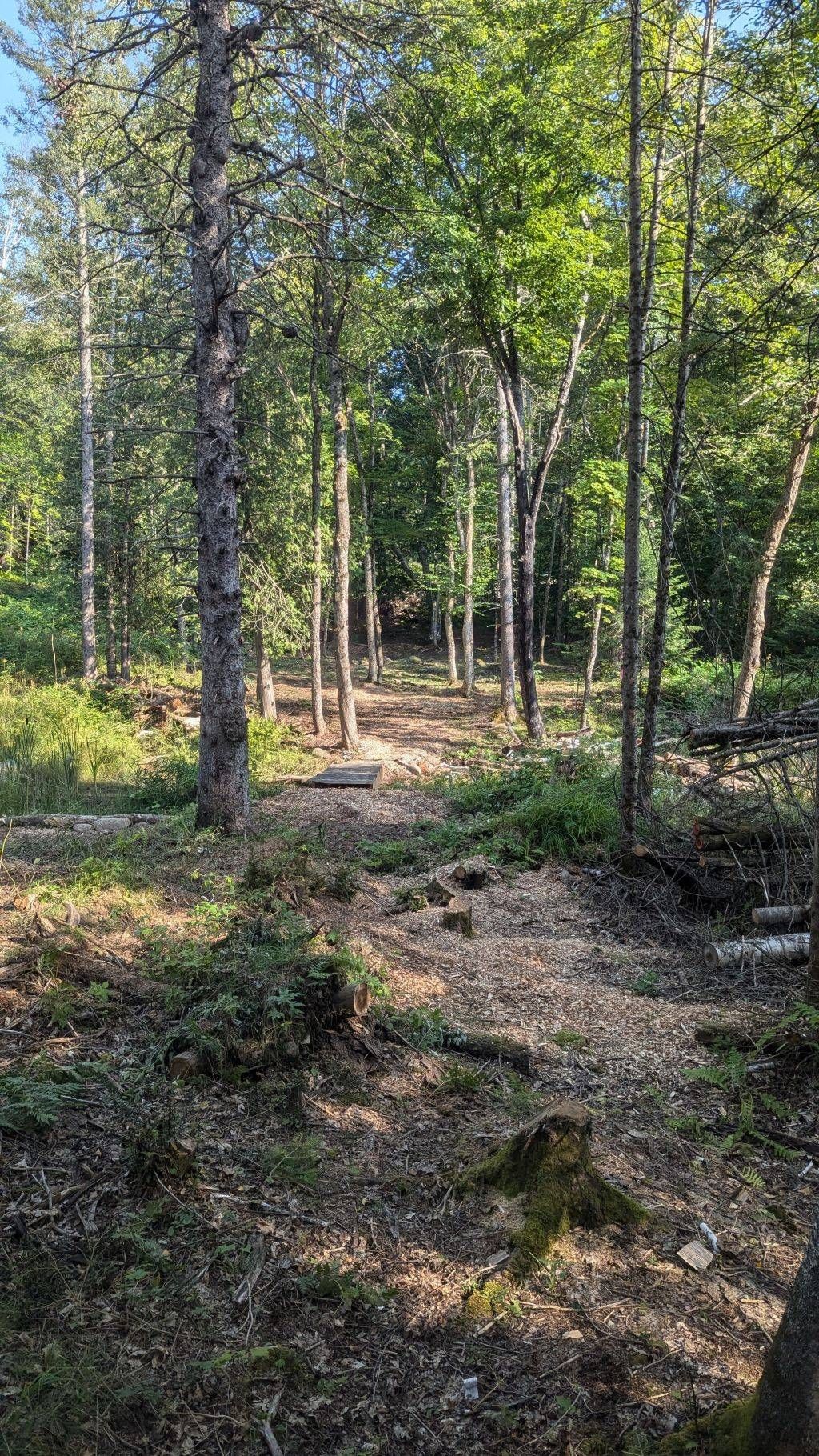 Hole 1 Tee