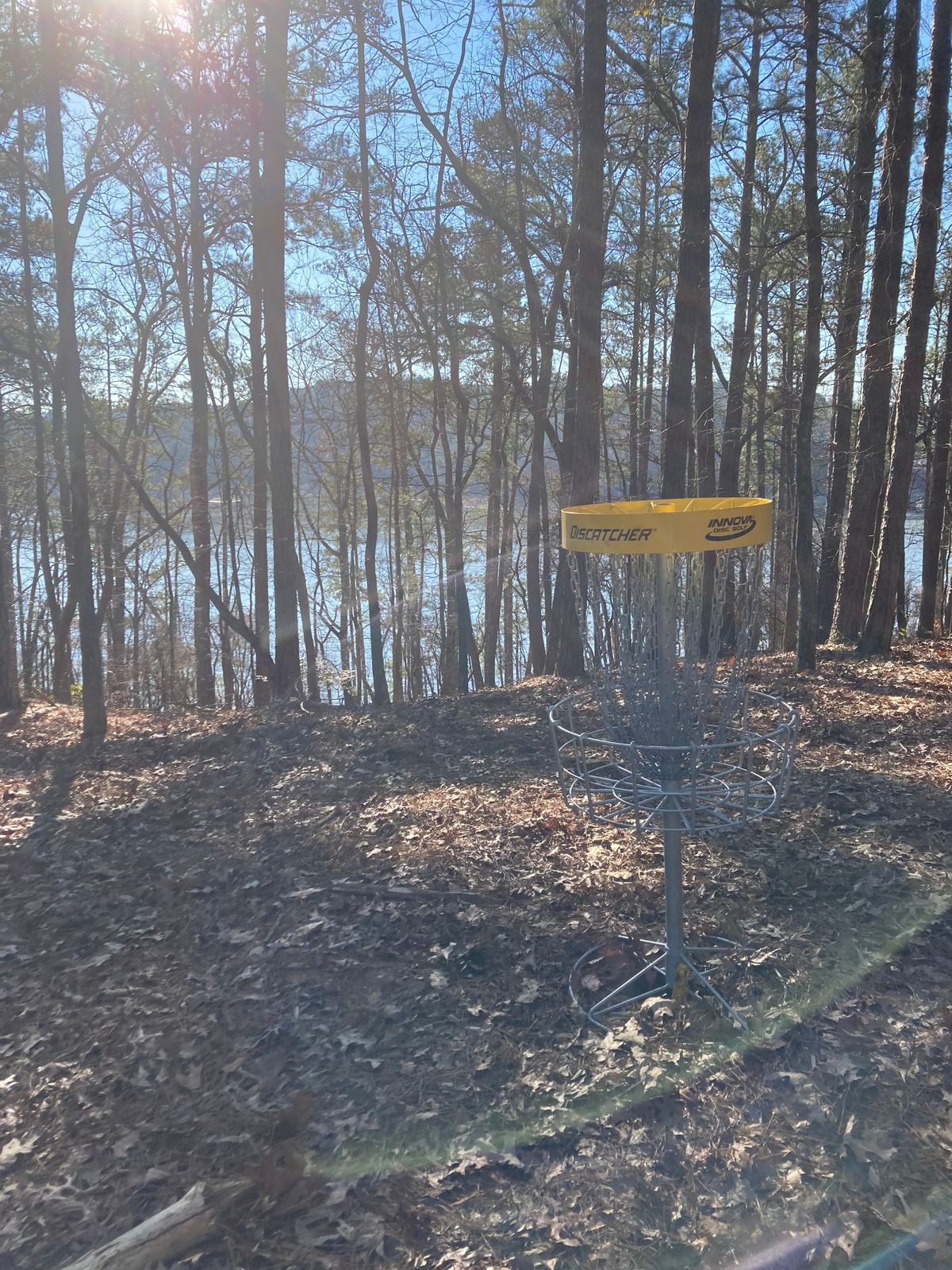 Scenic 6 pin