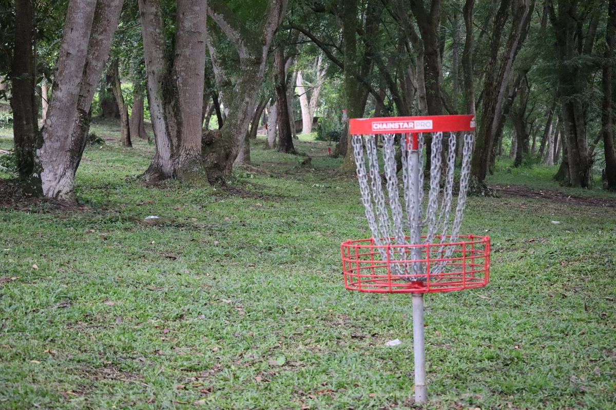 Hole 16 Basket