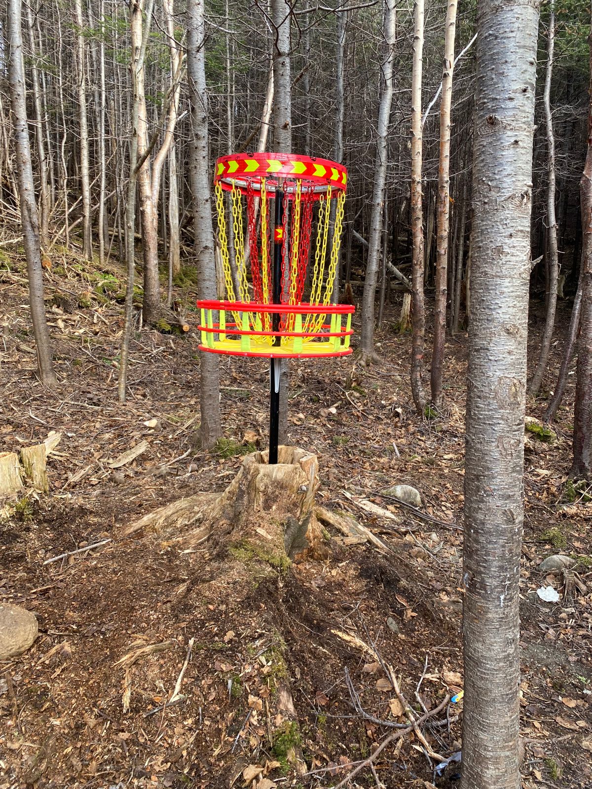 Hole 4 Basket
