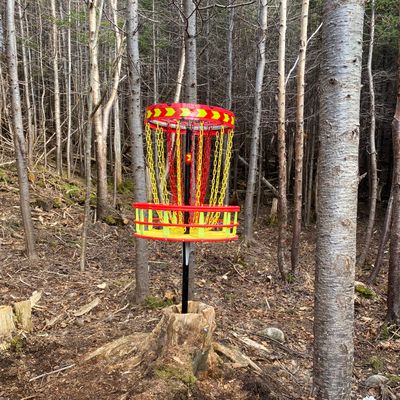 Hole 4 Basket