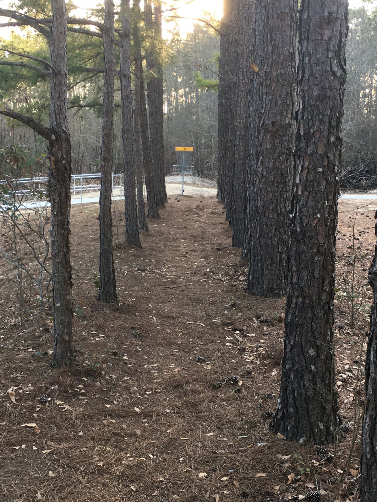 Tricky short narrow second hole