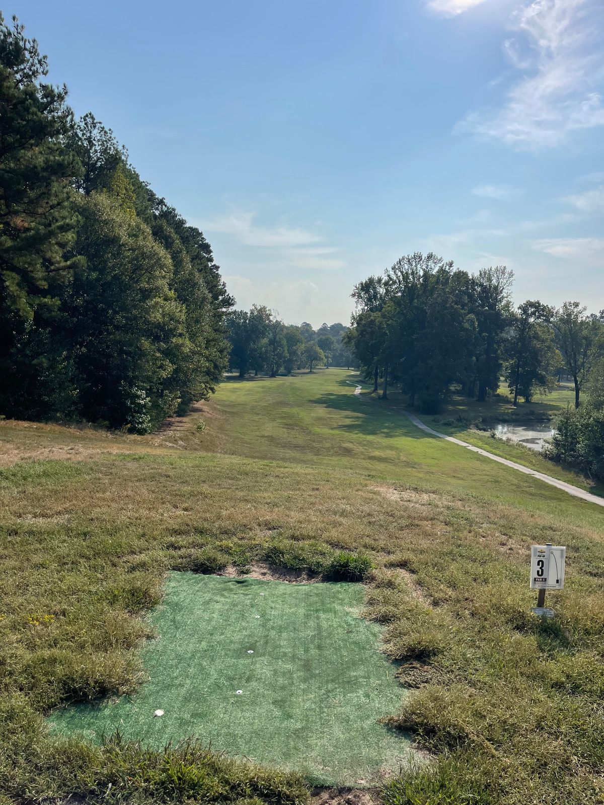 Hole 3 regular or short tee pad 
Basket is around the corner to the left