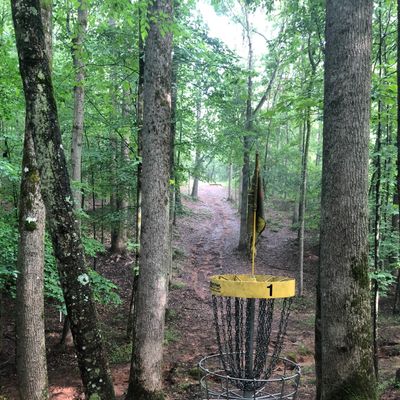 Hole 1 basket