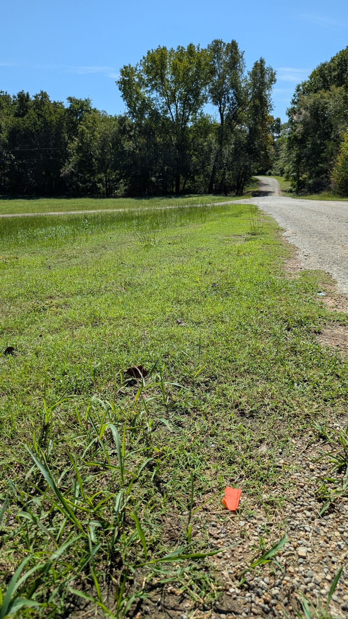 Hole 3 tee box