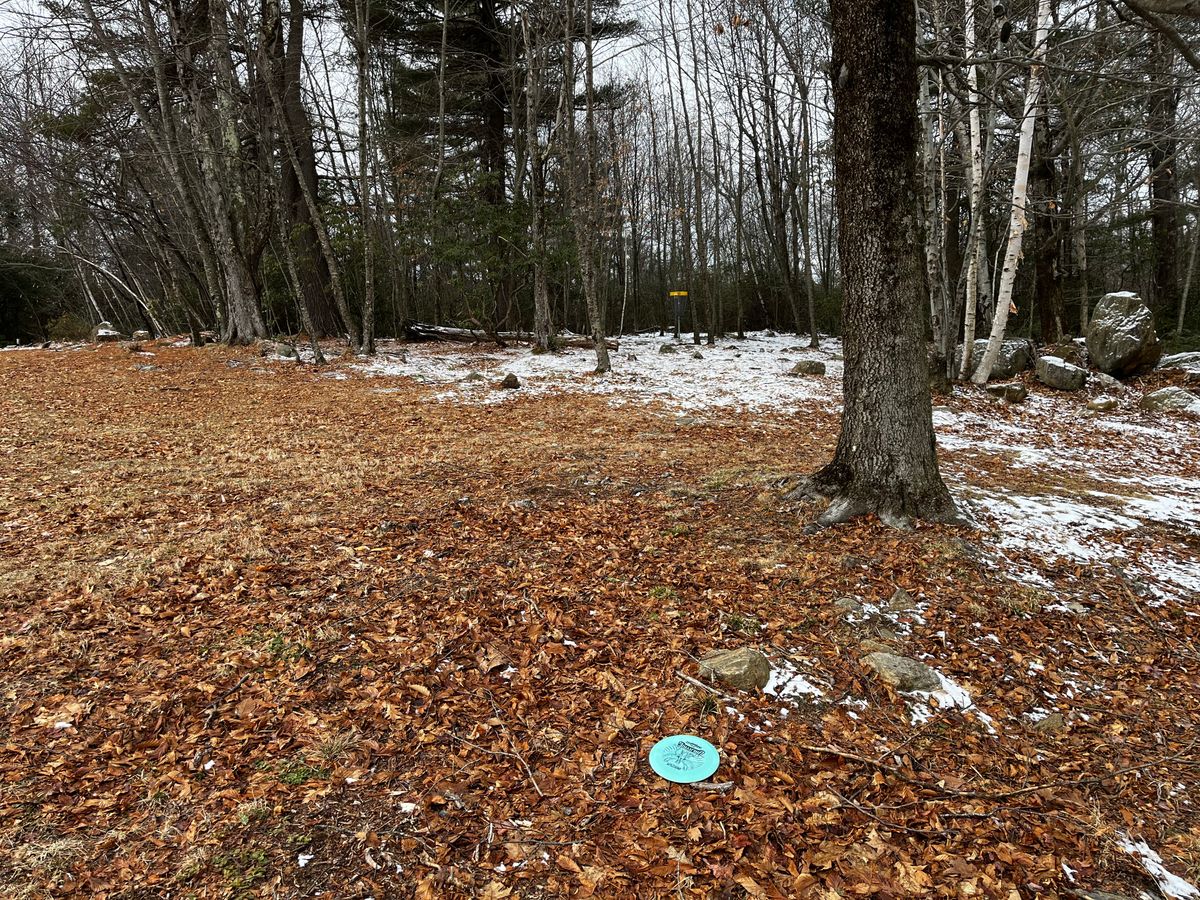 Hole 10 basket