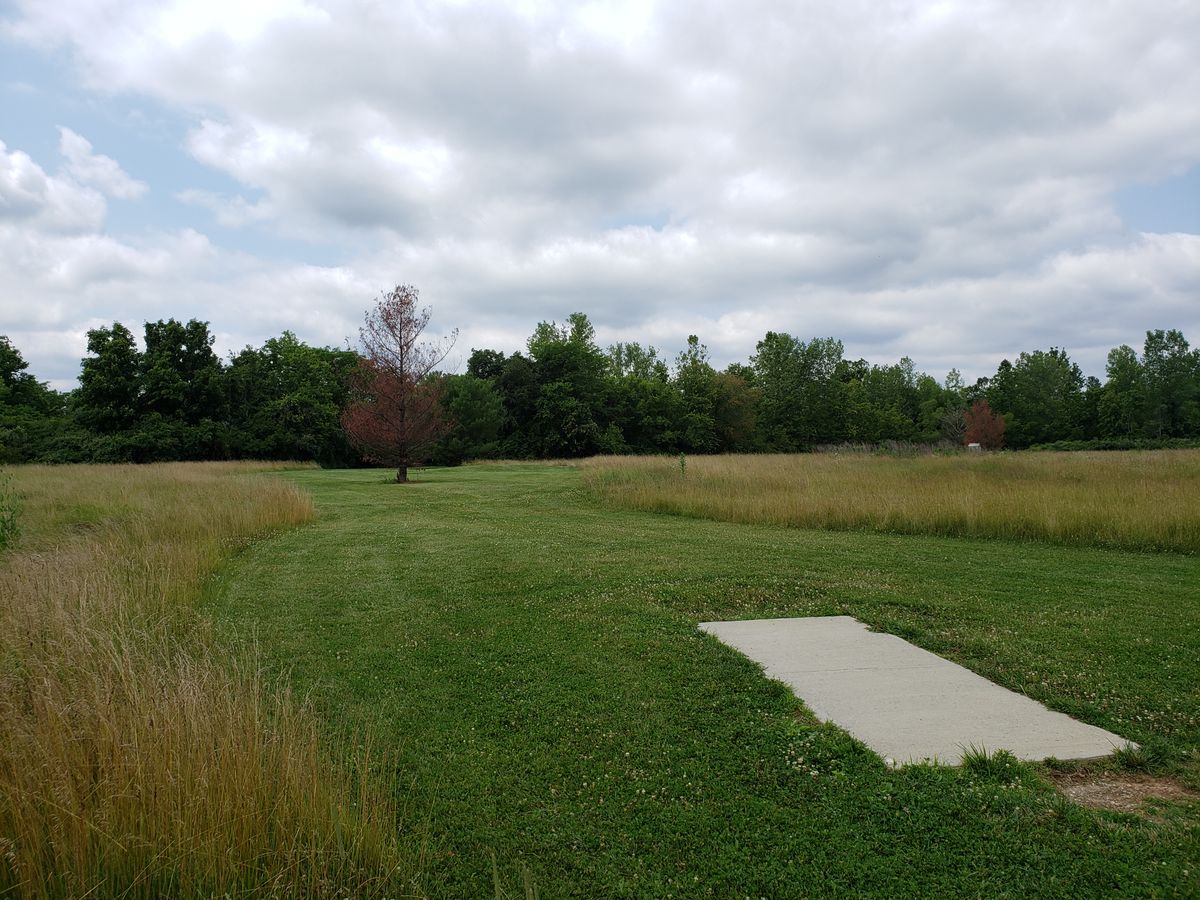 #14 Tee-Pad and Fairway.