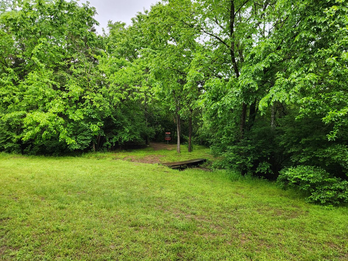 #12 approach