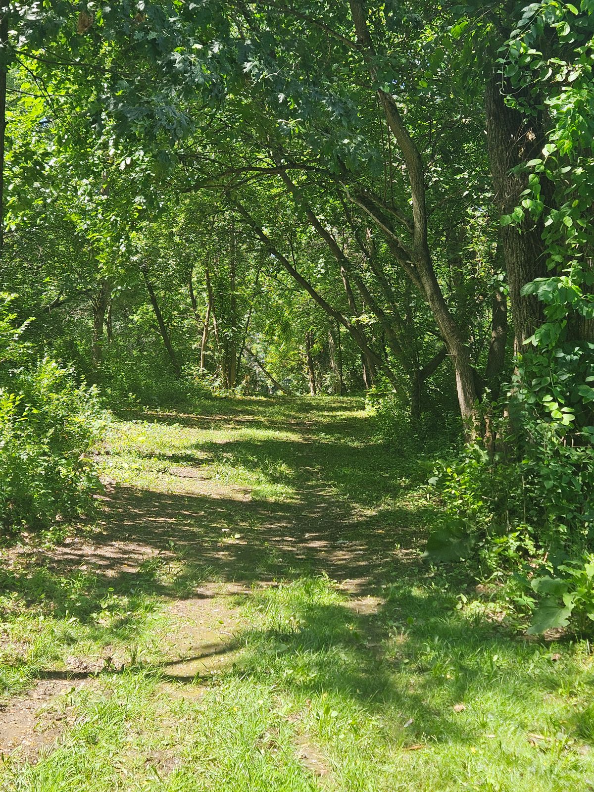 Hole 8 fairway