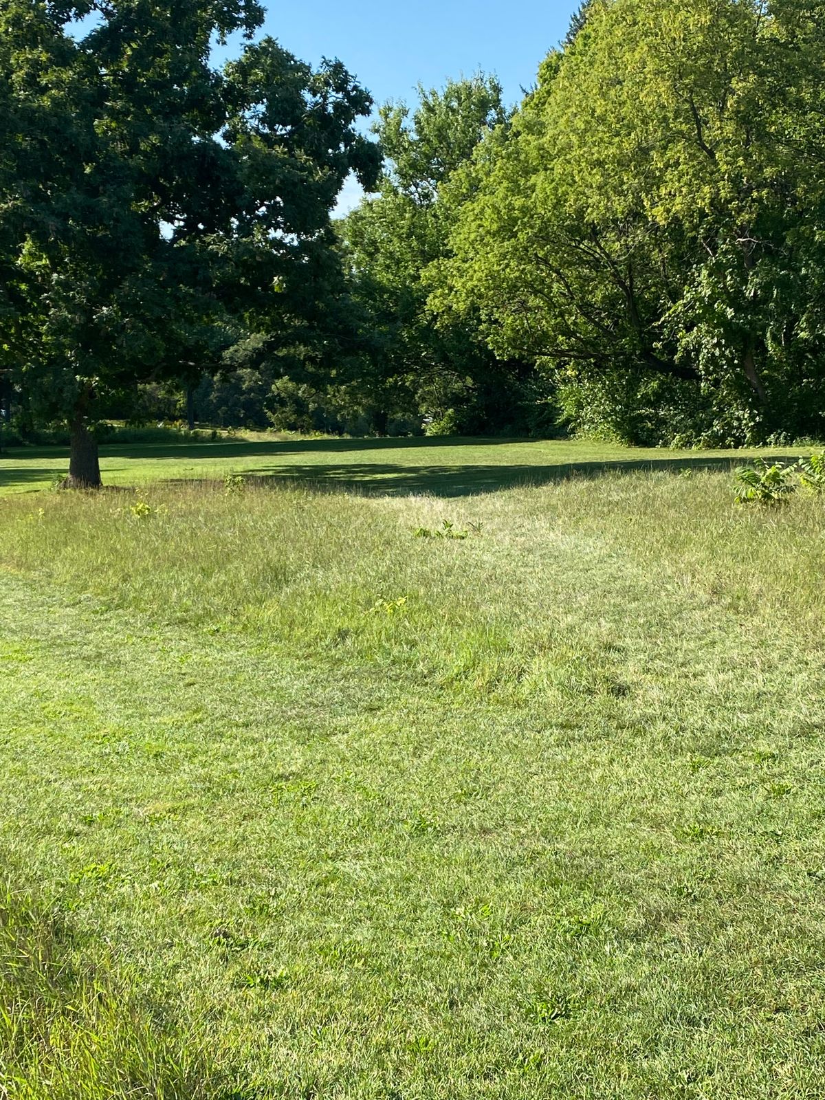 Hole 6 looking at the white basket. The blue basket is left, past the edge of this photo.