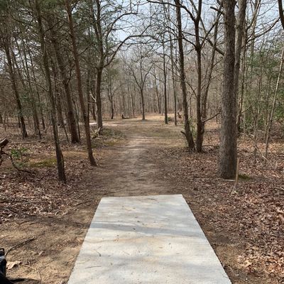 Hole 14 long tee