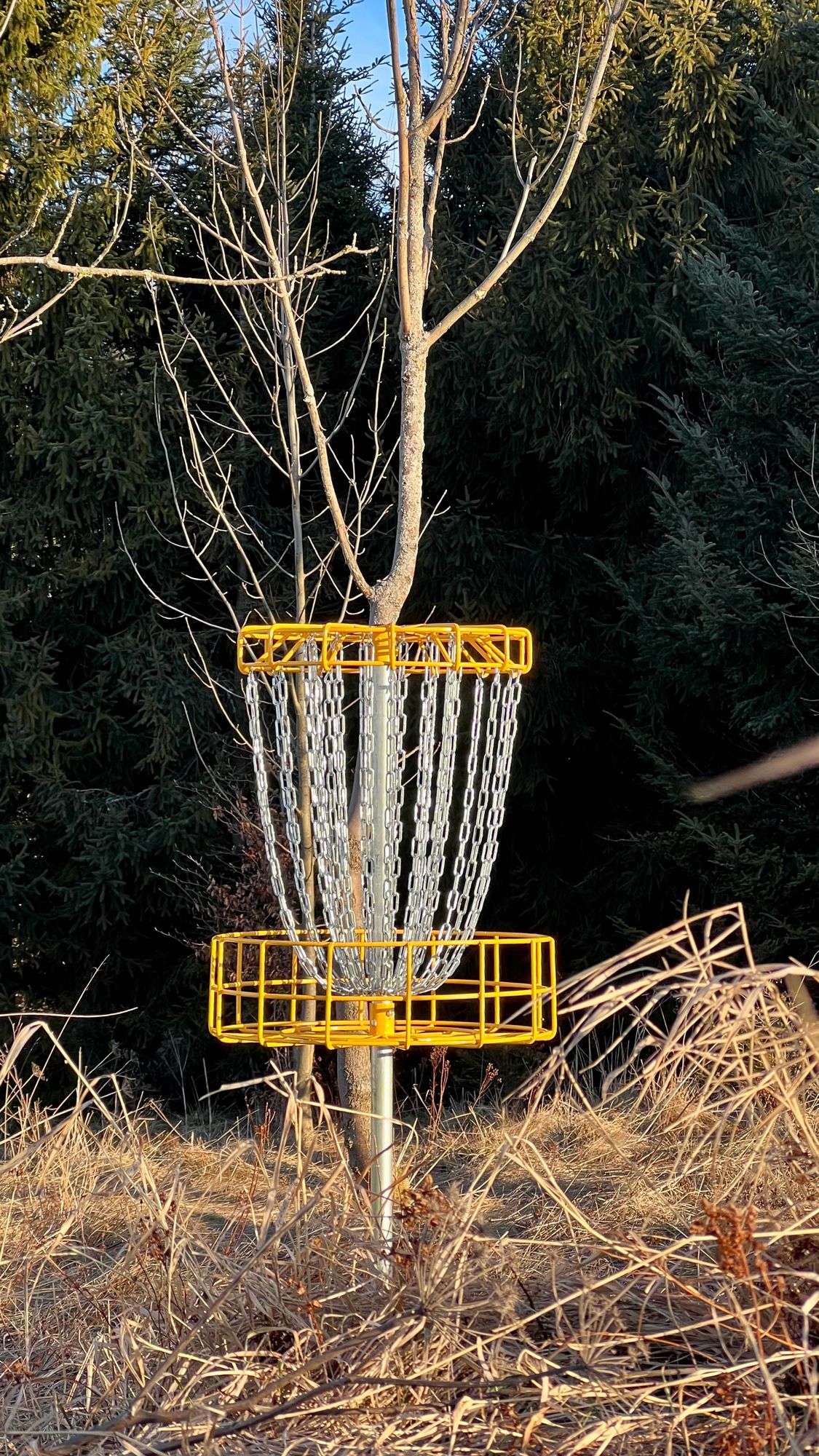 Hole 8