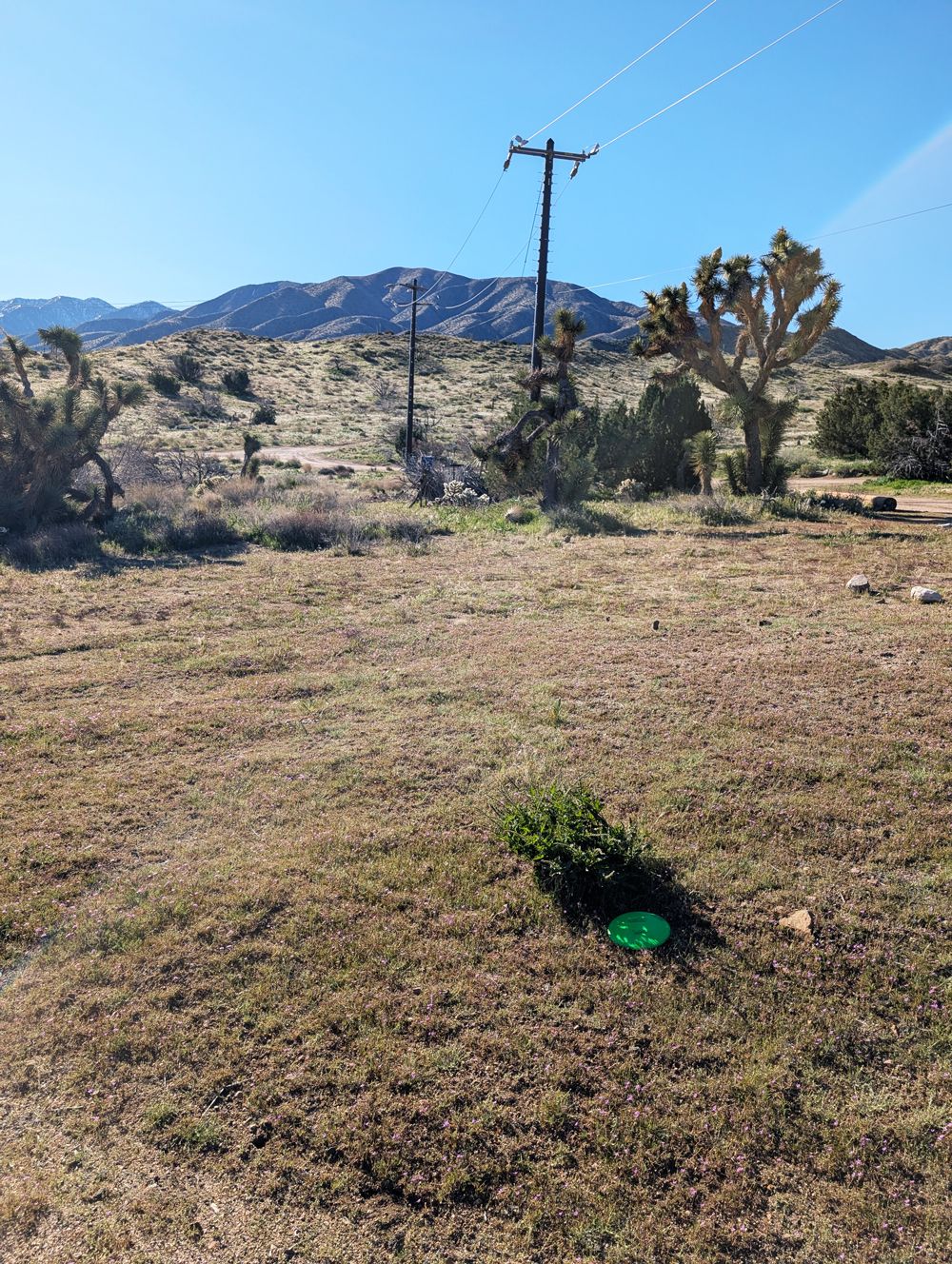 Hole 3 fairway center