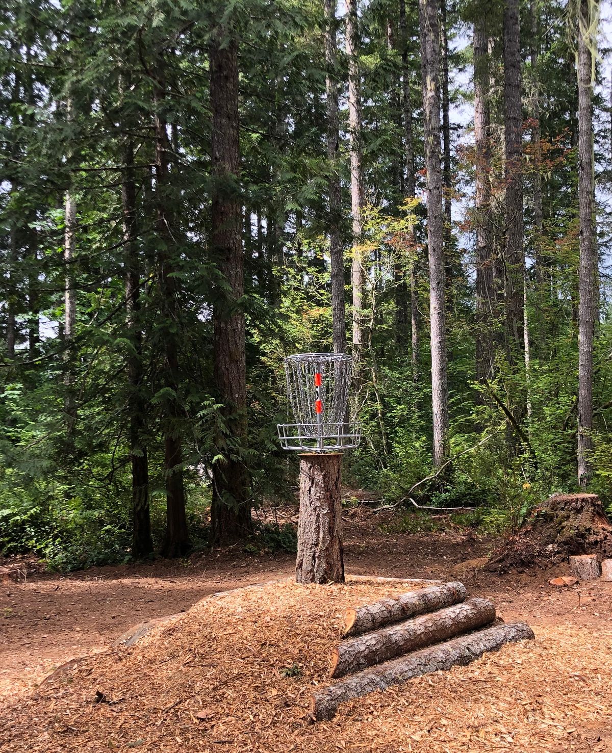 Elevated basket on Hole 6