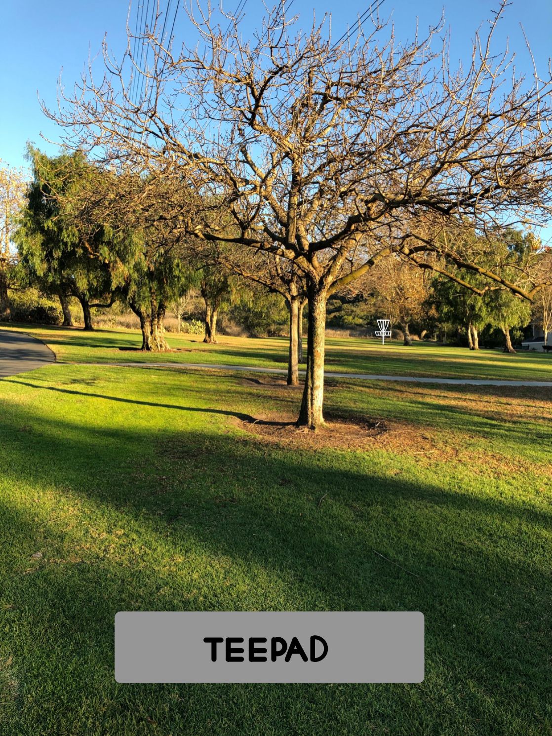 Hole 9: Tee Pad behind Triple Tree Line