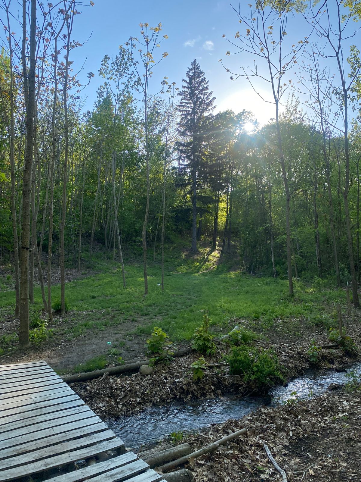 Hole 16 fairway