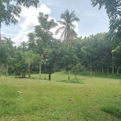 Hole 5, lovely scenery