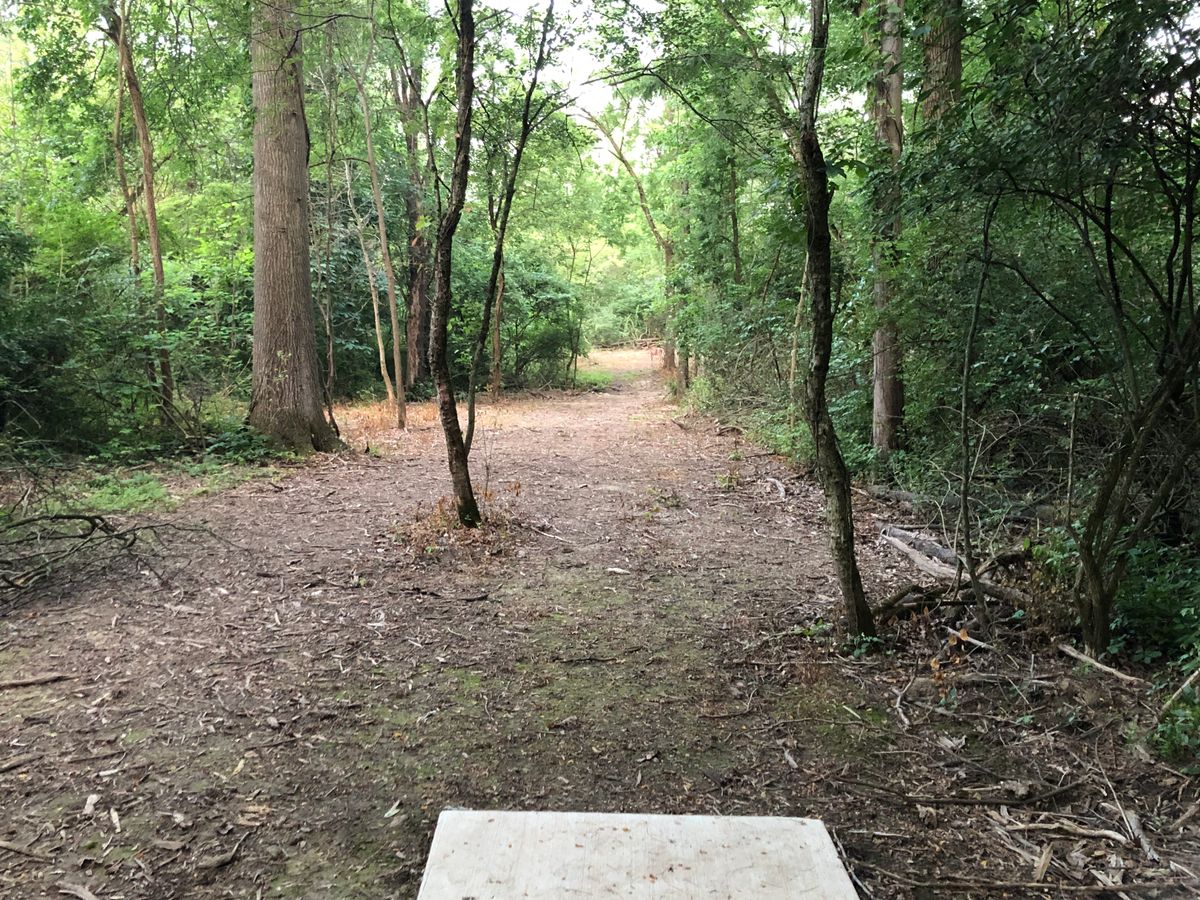This course has a lot of obvious lines, but no sight of where the basket is afterwards