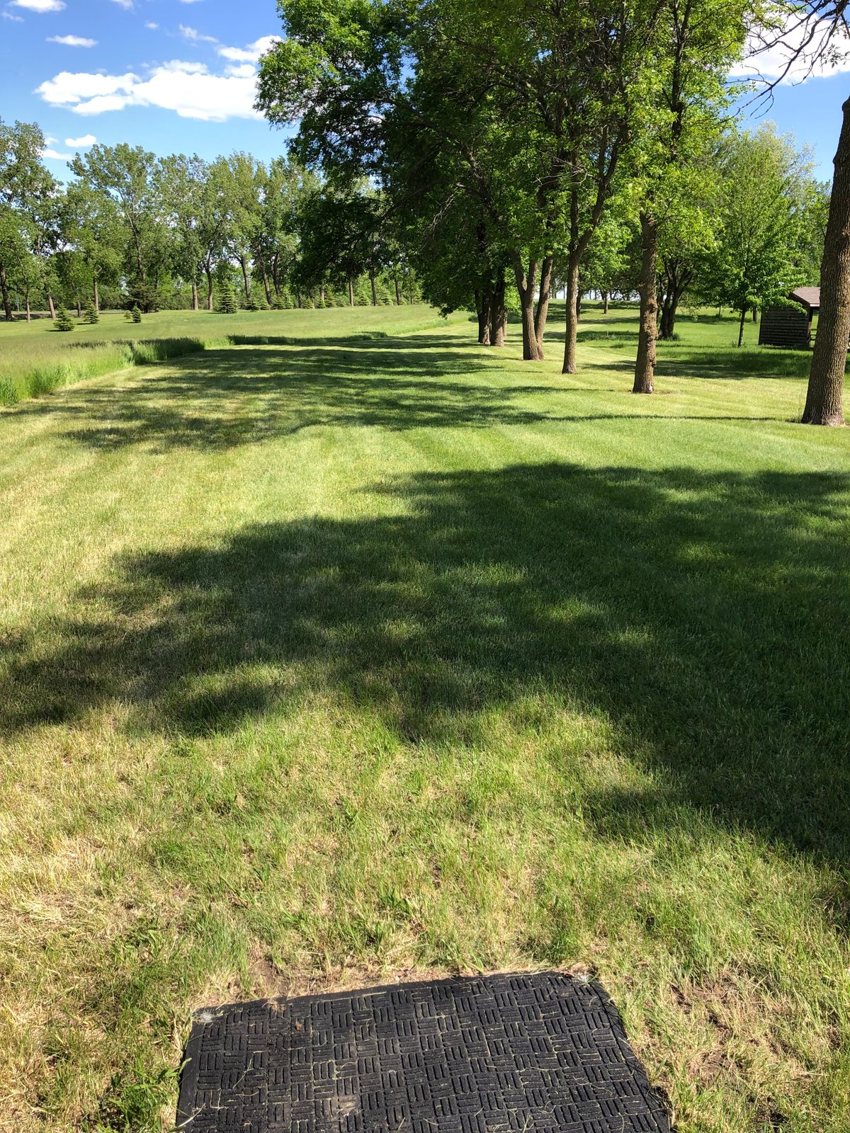 Hole 7 Tee