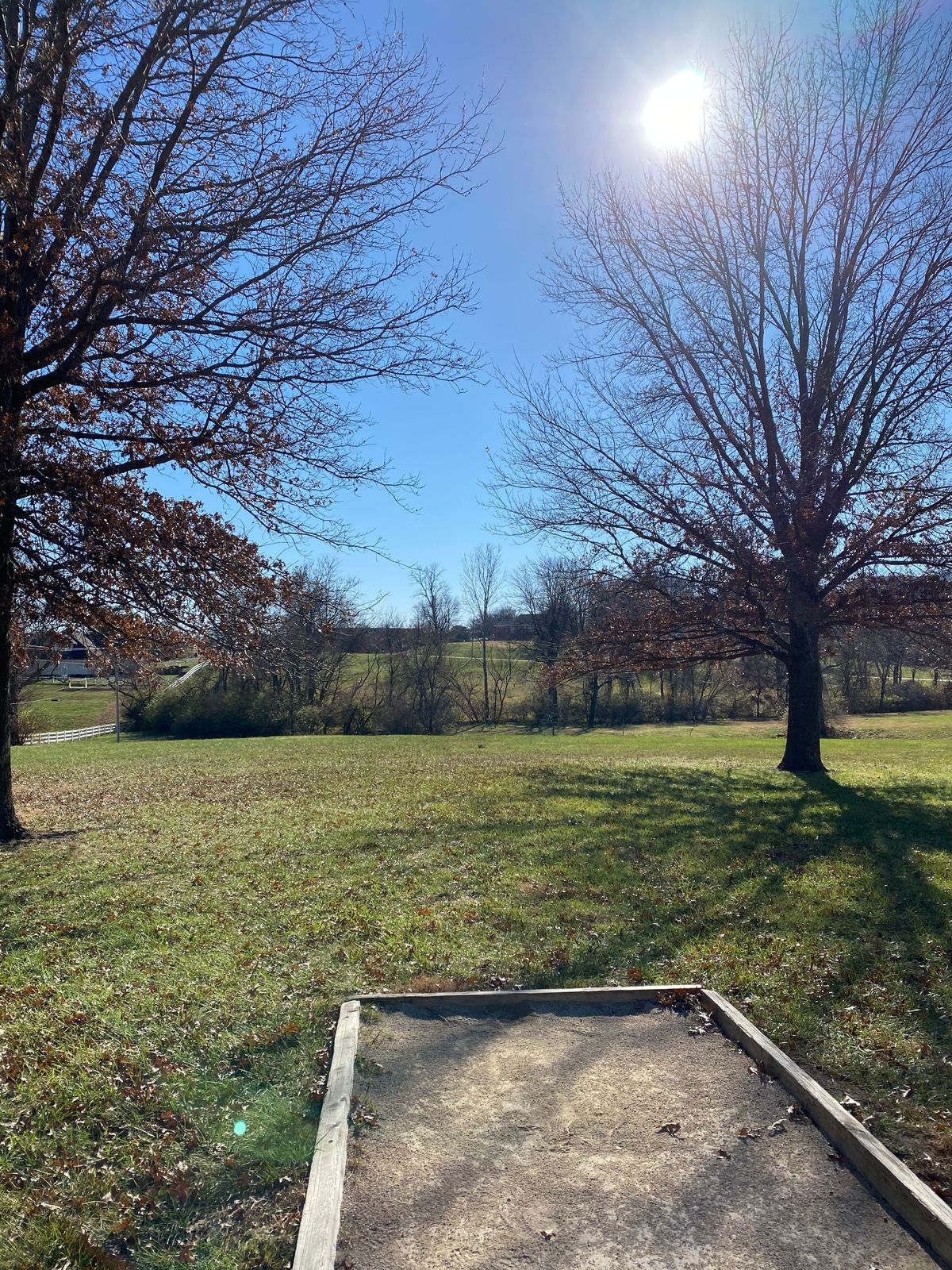 Hole #8, currently this is how most of the tees look