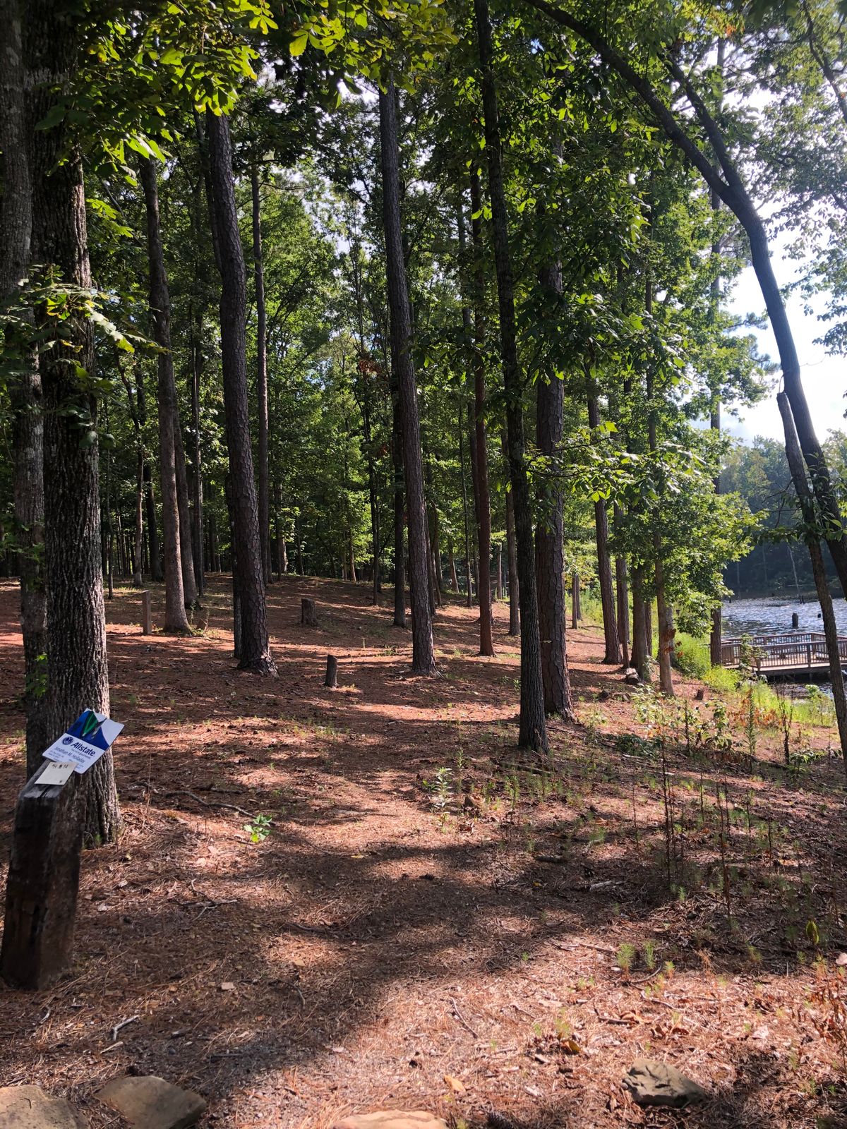 Hole 14