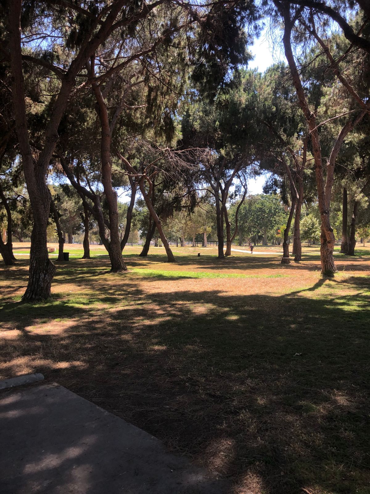 Hole 23
