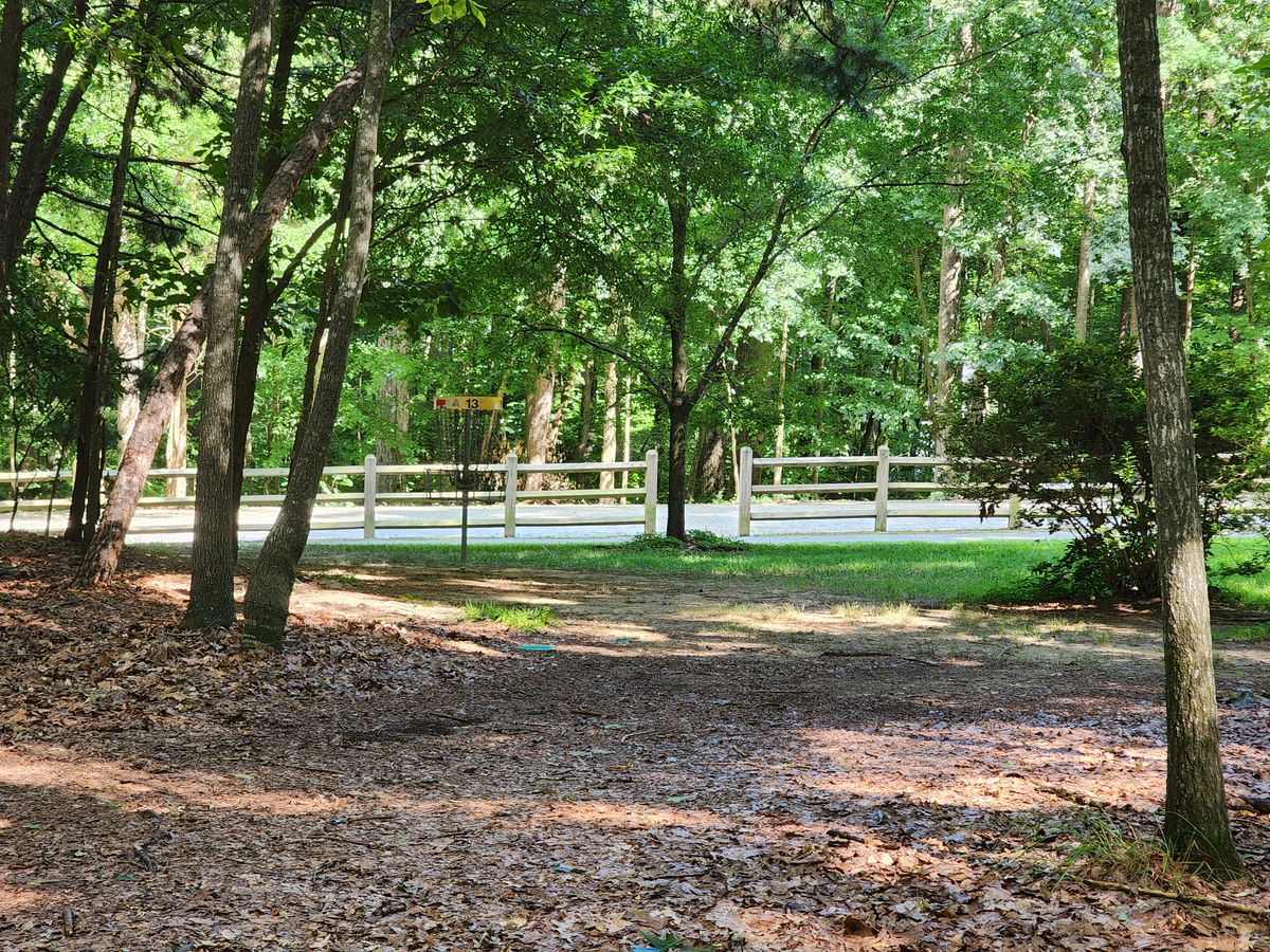 Hole 13 basket