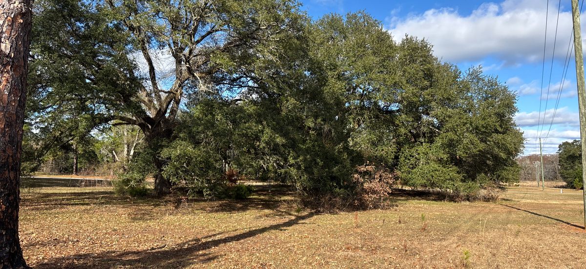 Hole 11 Blue