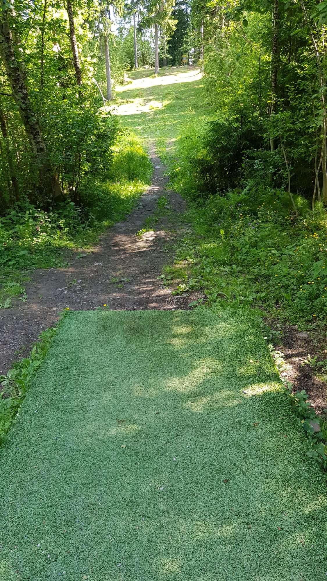 Tee 11