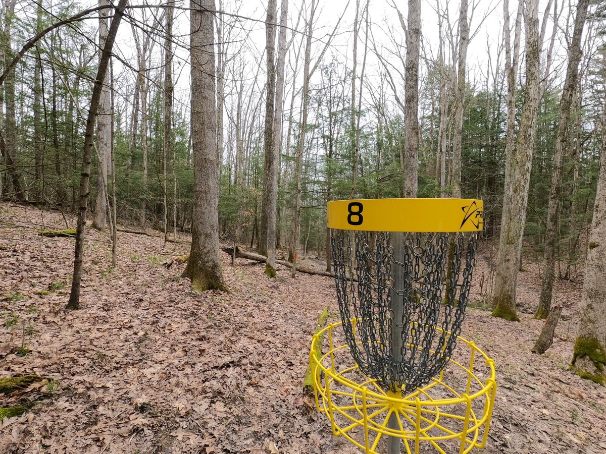 Hole #8 Basket
