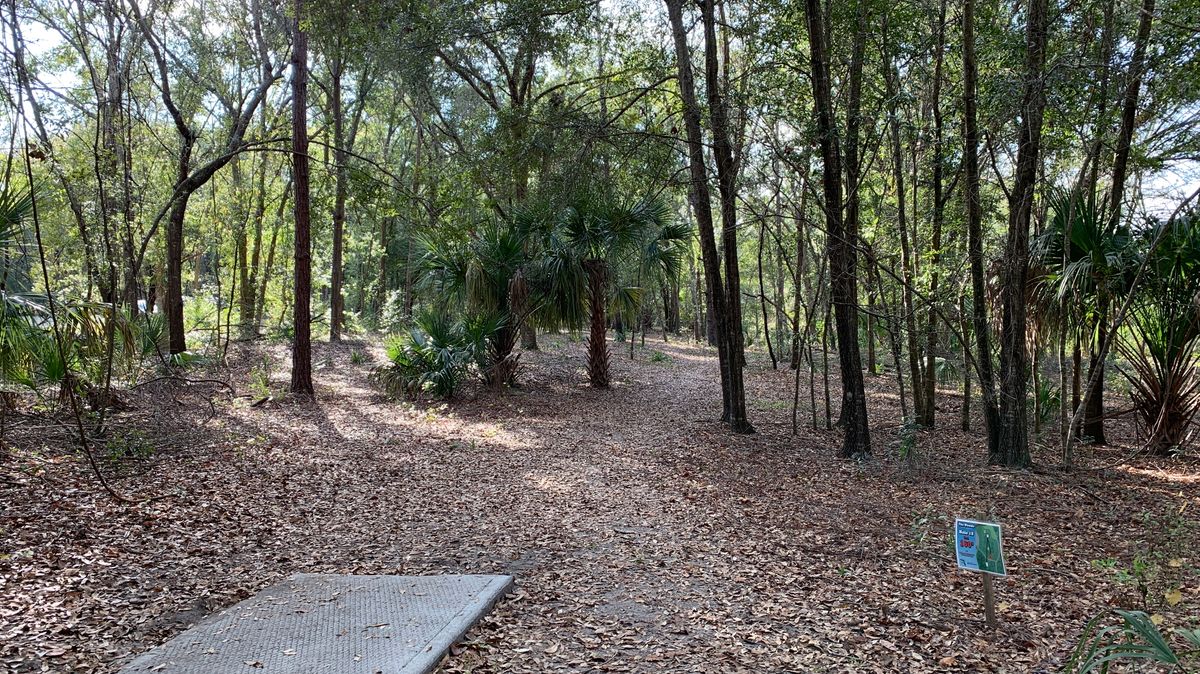 Hole 18