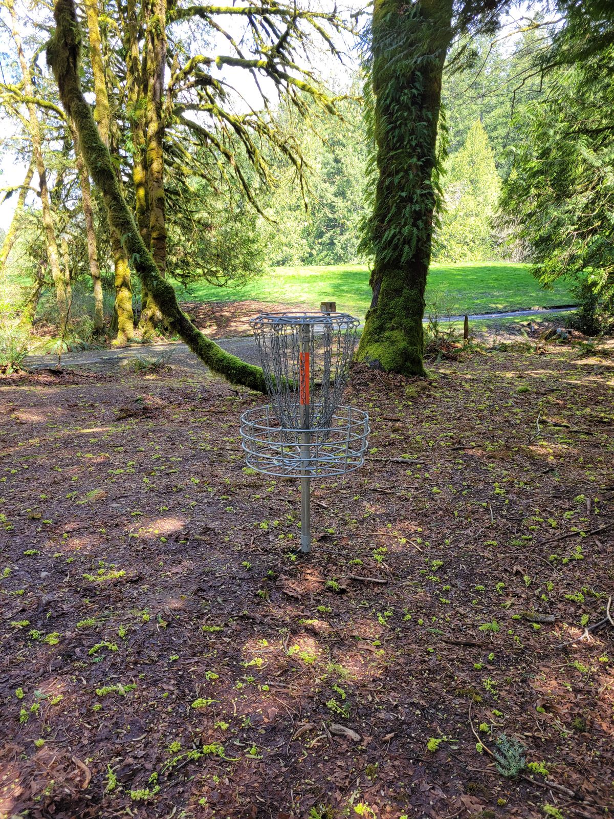 Hole 17 basket