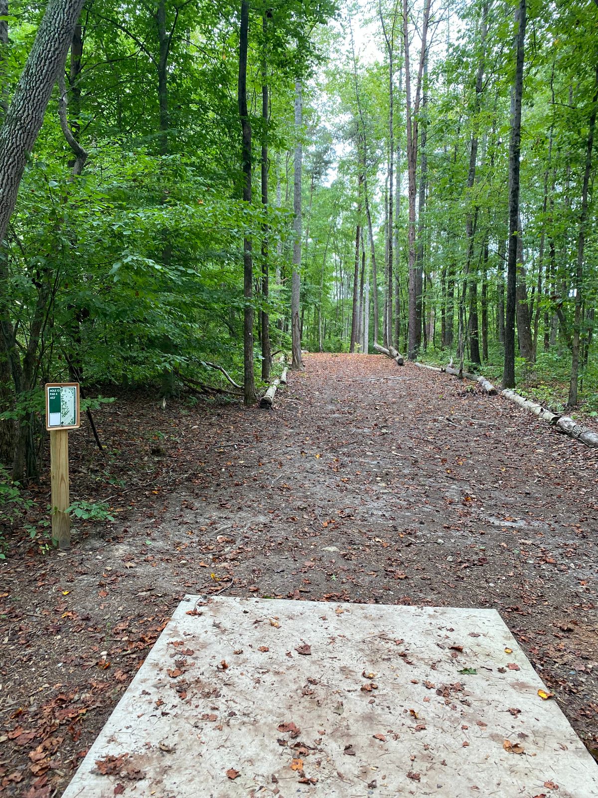 Hole 12