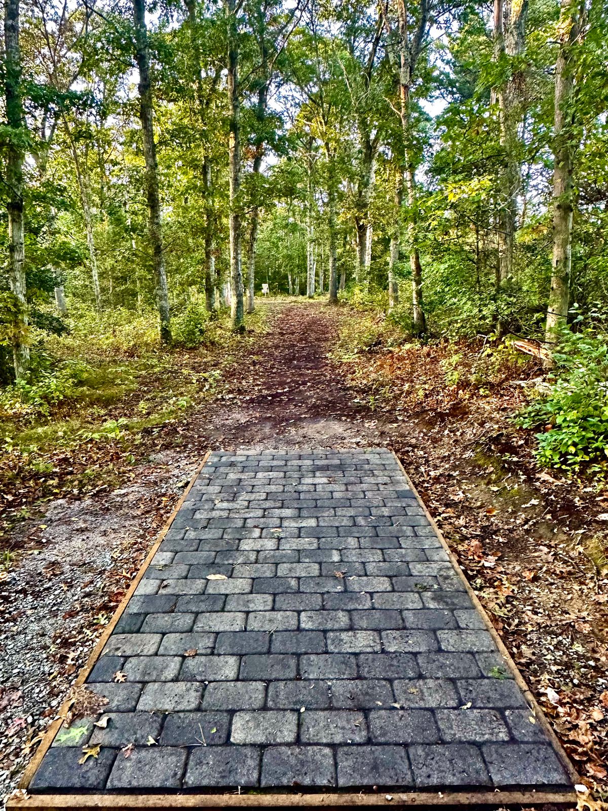 Hole 11 tee: Chapel Ave