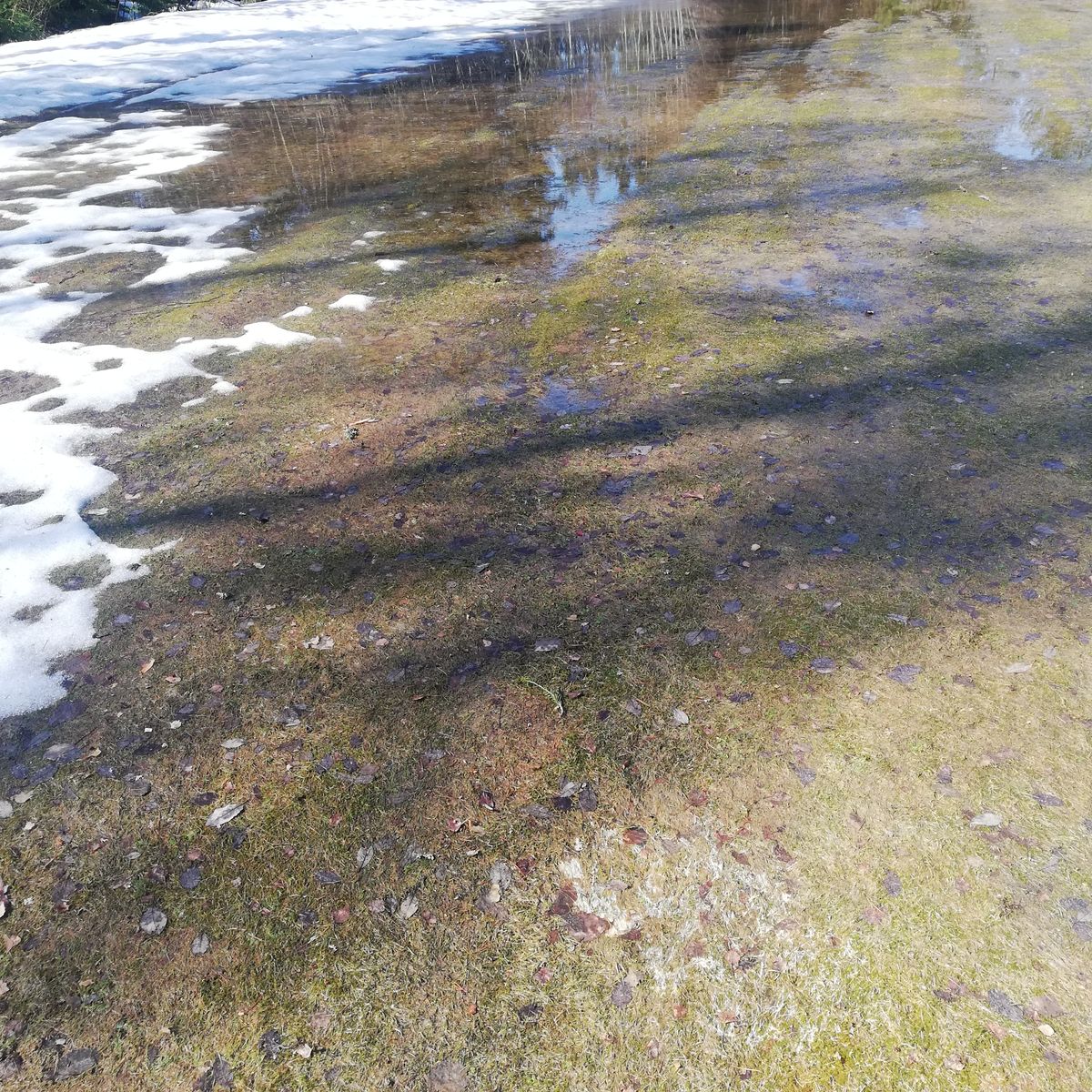 Hål 9 lite blött så vi körde hål 1 en gång till.