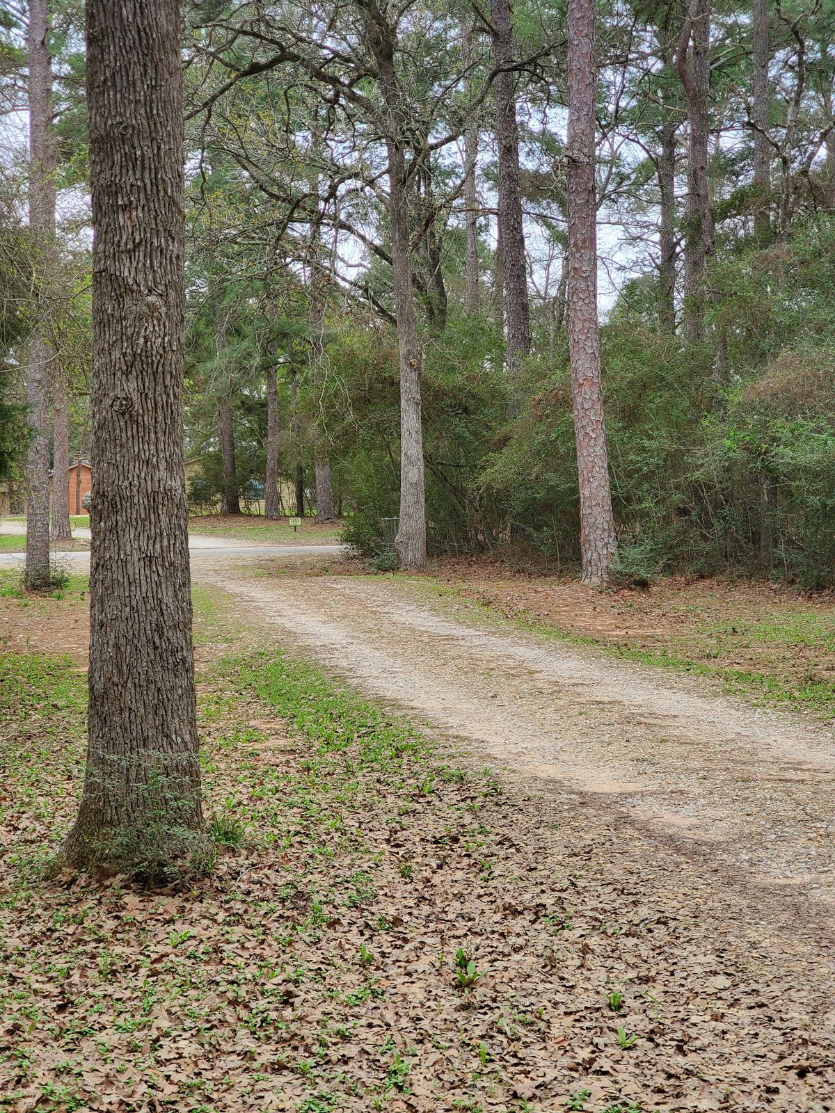 Hole 11 approach
