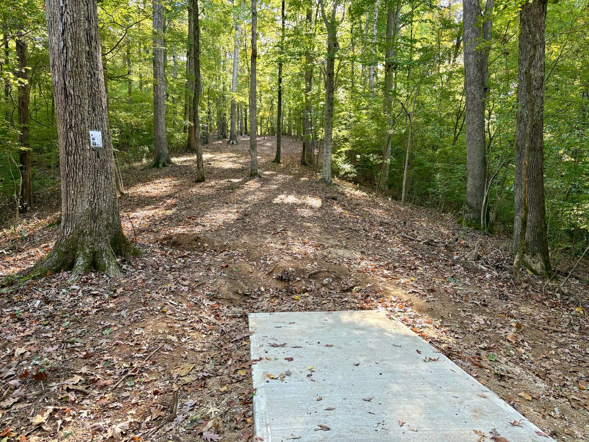 Hole 8 tee