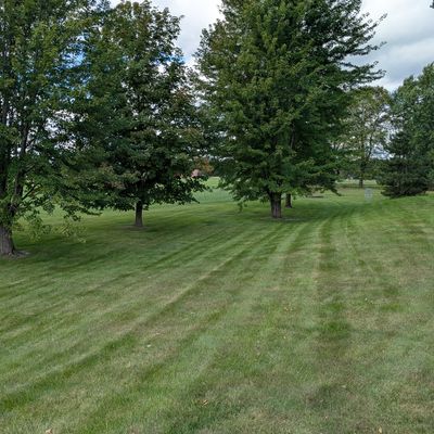 Hole 5 & 6 baskets