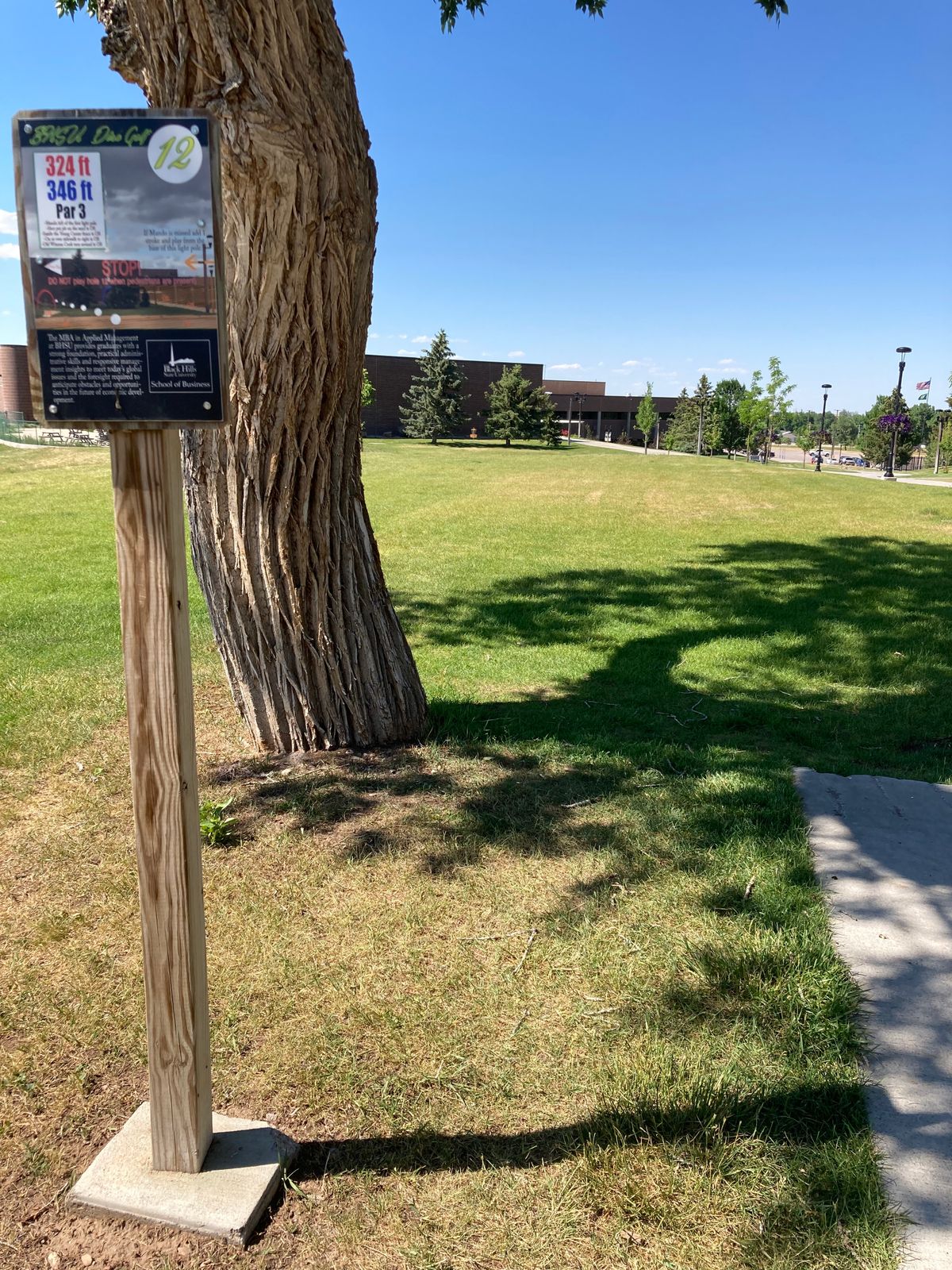 Tee 12