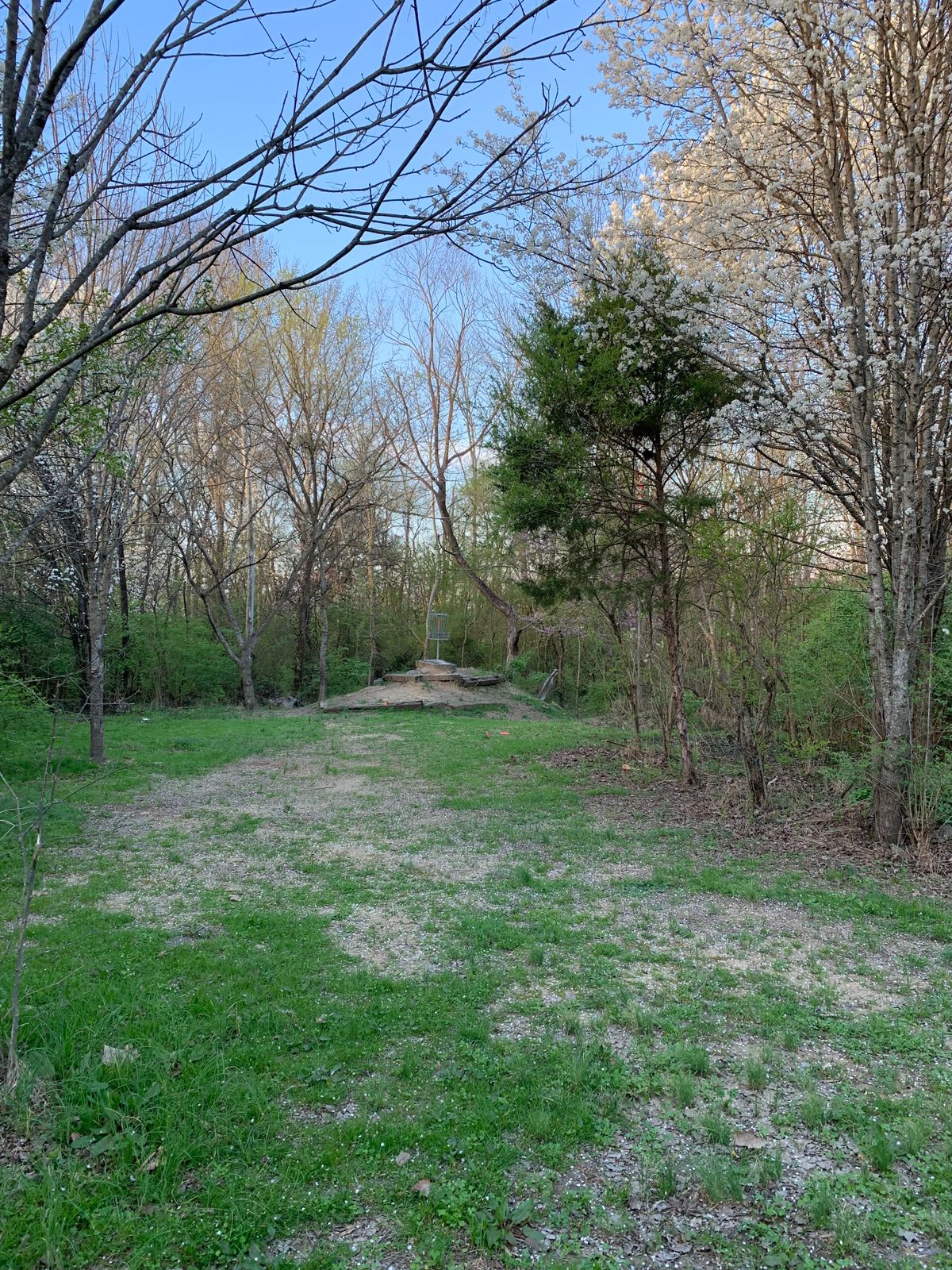 Hole 14 at Dog Leg