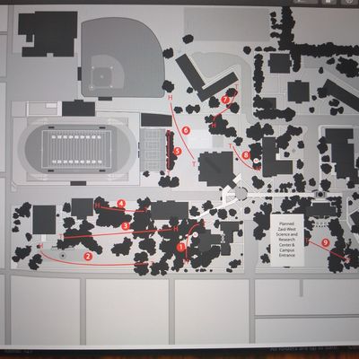 Course map