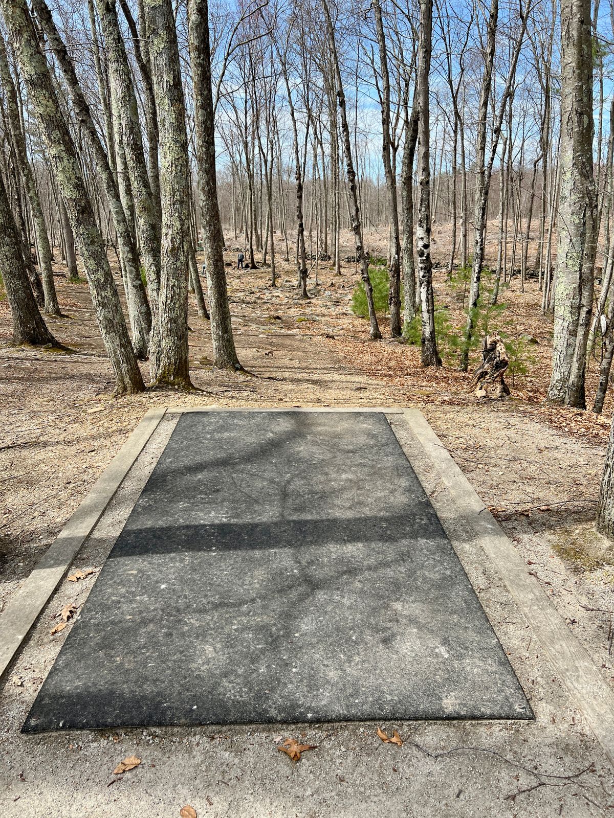 Hole #6 Tee Box
