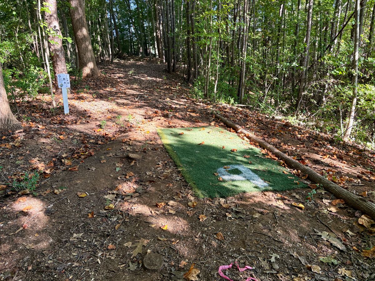 Hole 9 tee