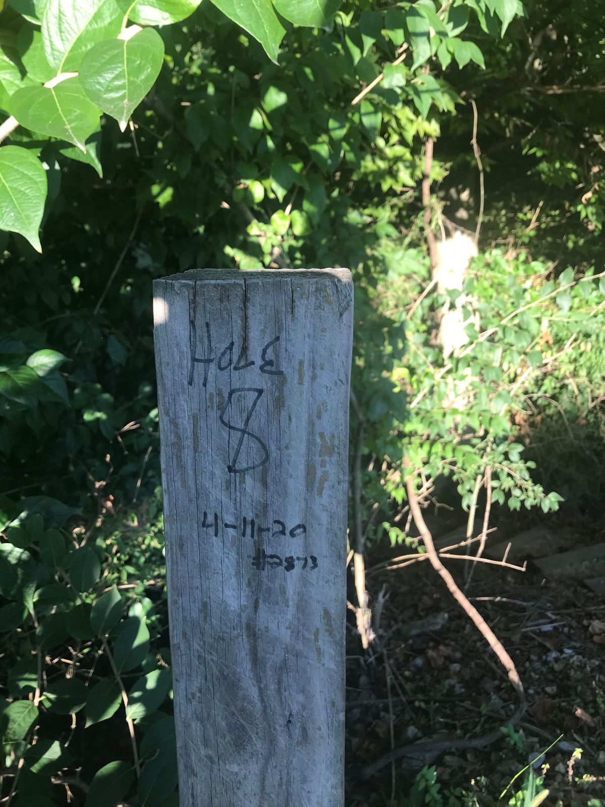 Hole 8 post