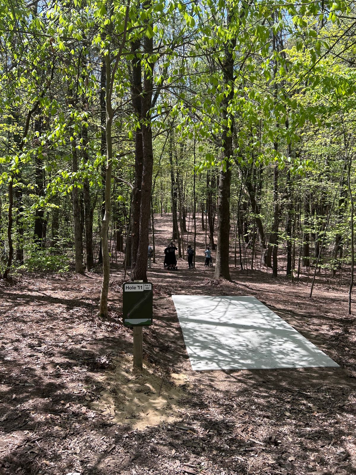 Hole #11